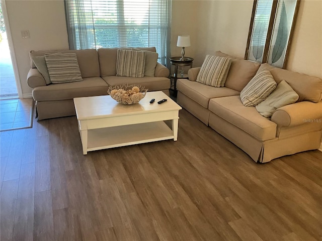 living room with dark hardwood / wood-style floors