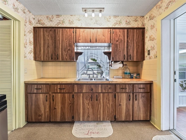 kitchen with sink, tasteful backsplash, and light carpet