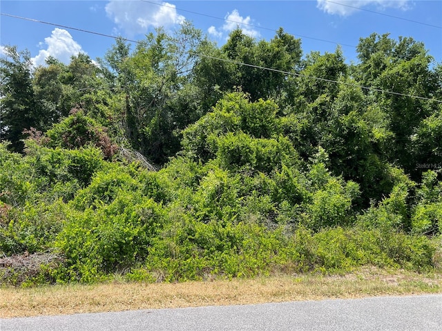 LOT41 SE 81st Ct, Summerfield FL, 34491 land for sale