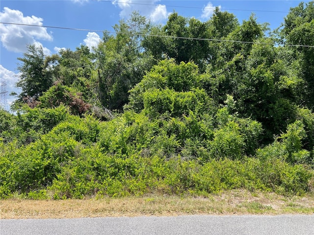 Listing photo 2 for LOT41 SE 81st Ct, Summerfield FL 34491