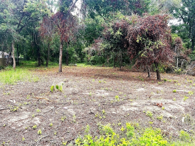 LOT41 SE 81st Ct, Summerfield, FL 34491 - photo 3