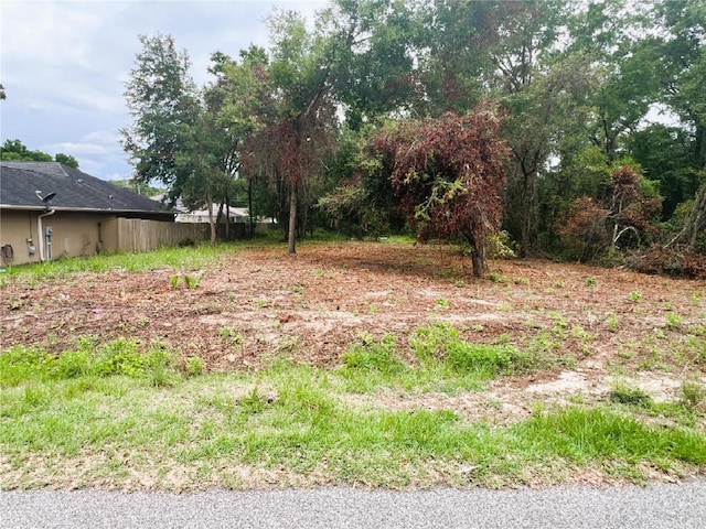 LOT41 SE 81st Ct, Summerfield, FL 34491 - photo 4