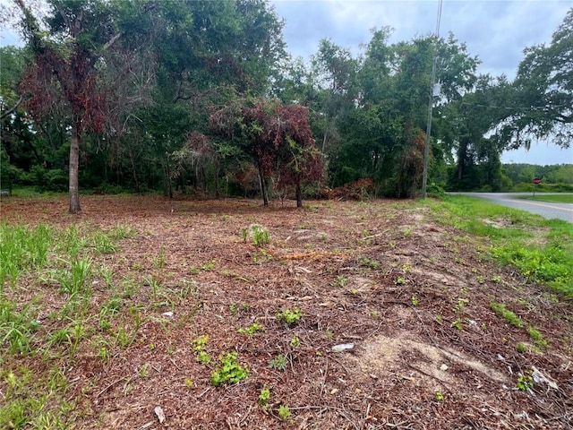 LOT41 SE 81st Ct, Summerfield, FL 34491 - photo 5