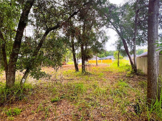 LOT41 SE 81st Ct, Summerfield, FL 34491 - photo 6