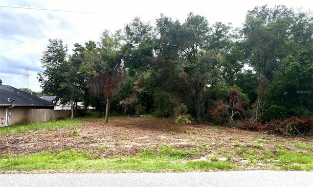 LOT41 SE 81st Ct, Summerfield, FL 34491 - photo 1