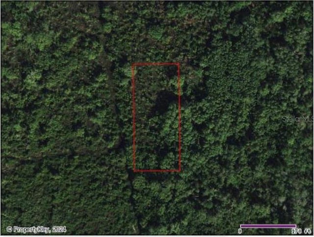 Listing photo 2 for TBD Tbd, Polk City FL 33868