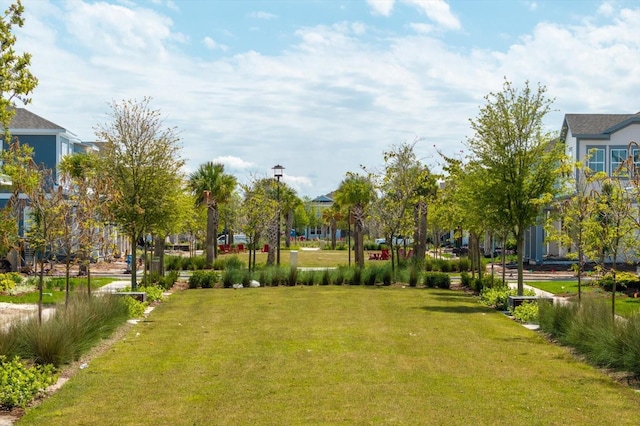 view of community with a lawn