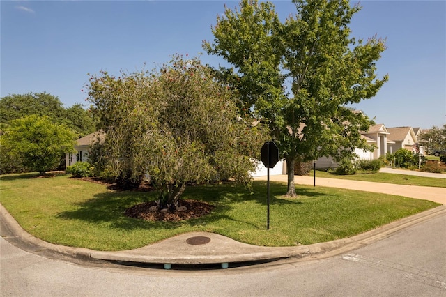 view of front of property featuring a front yard