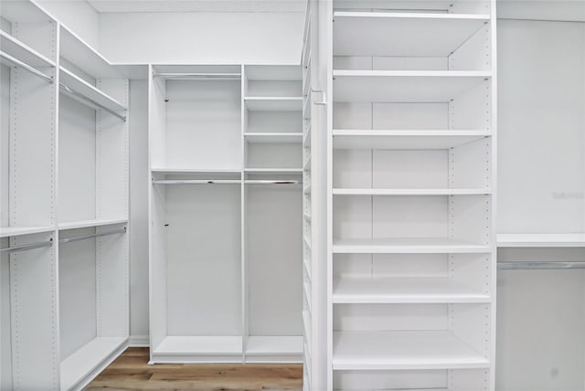 spacious closet featuring wood-type flooring