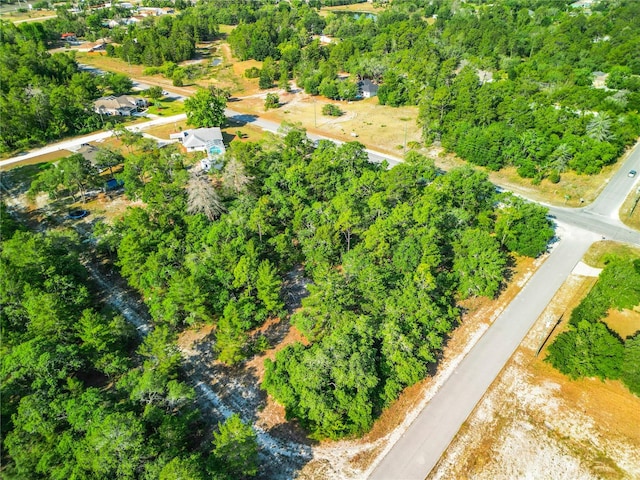 7380 Bahama Swallow Ave, Brooksville FL, 34613 land for sale