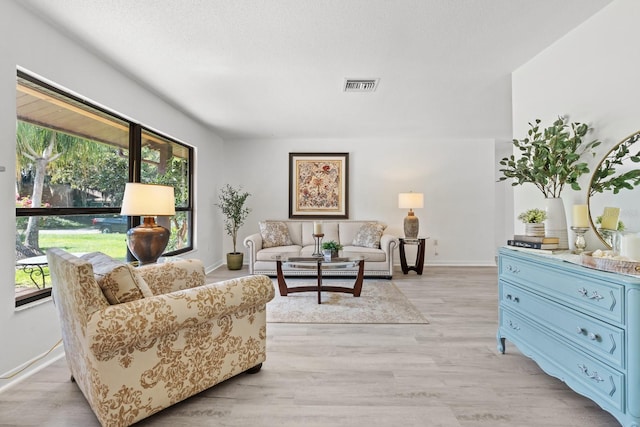 living room featuring light wood-type flooring