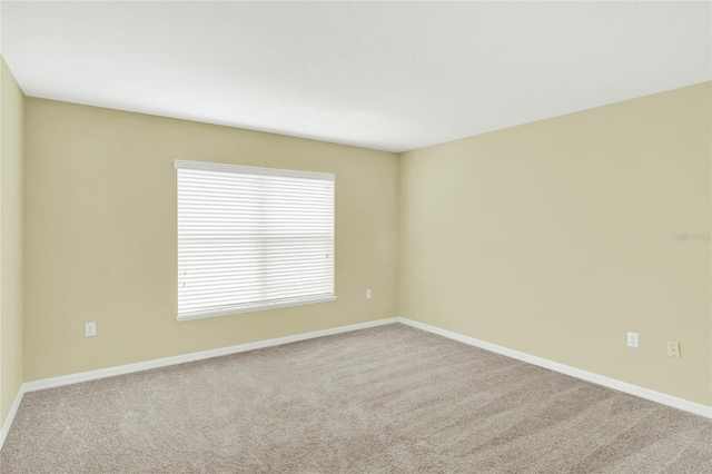 unfurnished room with carpet