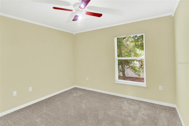 spare room with crown molding, carpet floors, and ceiling fan