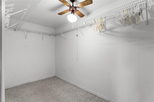 spacious closet featuring ceiling fan and carpet floors