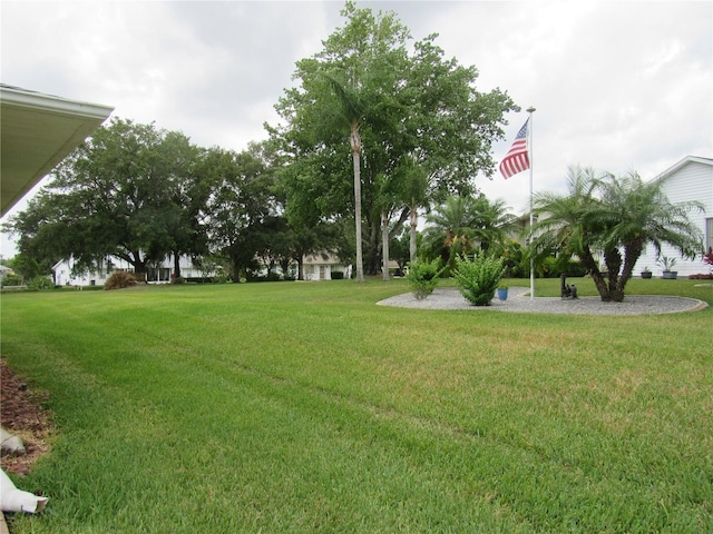 view of yard