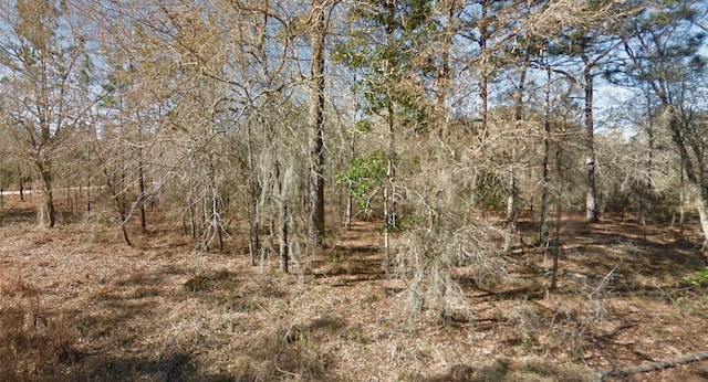 NE 16th St Lot 5, Williston FL, 32696 land for sale