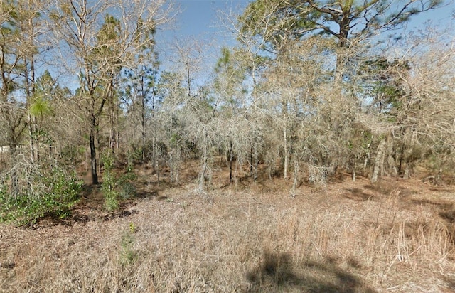 Listing photo 2 for NE 16th St Lot 5, Williston FL 32696