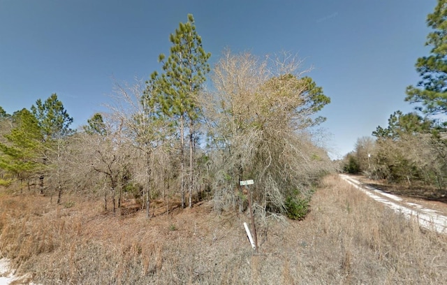 Listing photo 3 for NE 16th St Lot 5, Williston FL 32696