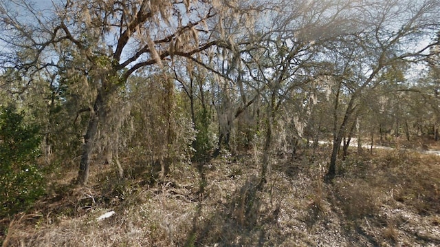 Listing photo 2 for NE 16th St Lot 6, Williston FL 32696