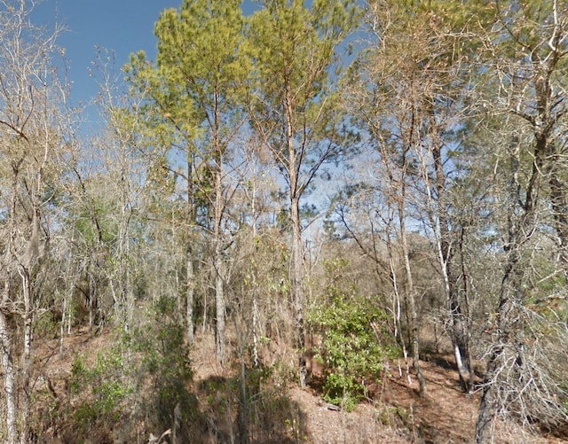 Listing photo 3 for NE 16th St Lot 6, Williston FL 32696