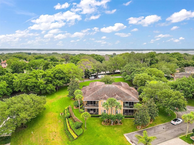 bird's eye view with a water view