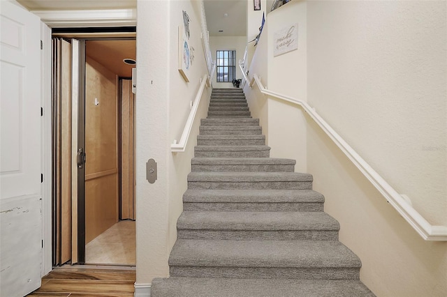 stairway with hardwood / wood-style flooring and elevator