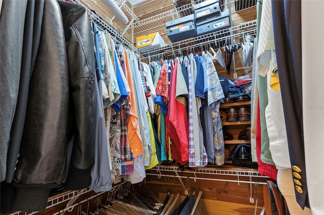 view of spacious closet