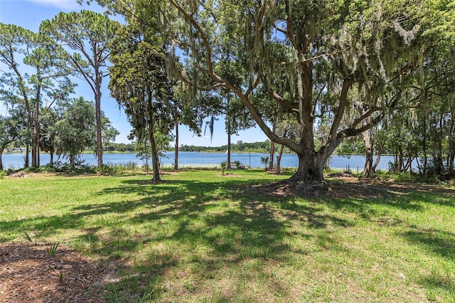 view of yard with a water view