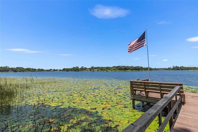 view of dock with a water view