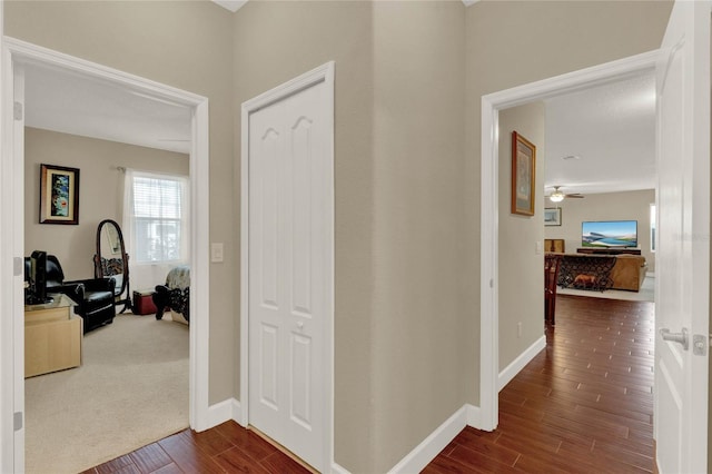 hallway with carpet