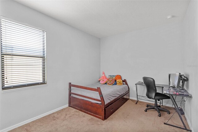 bedroom with light colored carpet