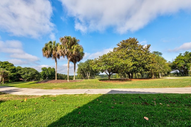 view of community featuring a yard