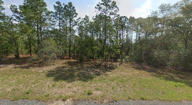 8059 N Creek Way, Citrus Springs FL, 34434 land for sale