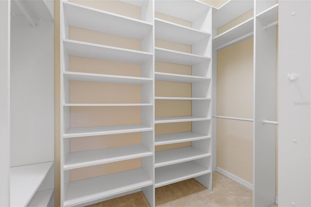 spacious closet with carpet