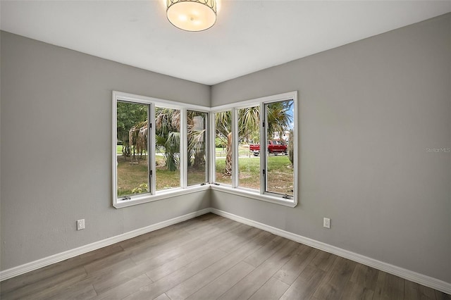 spare room with wood-type flooring