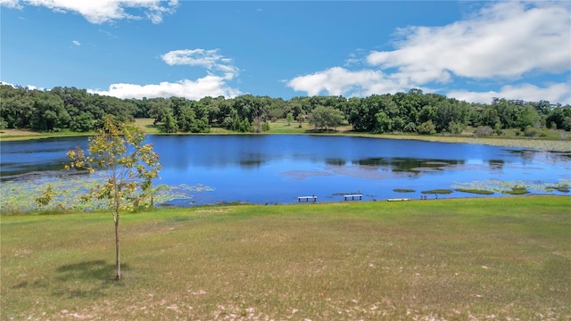 view of water feature