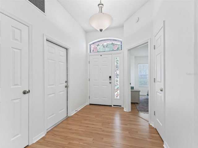 1405 W Schwartz Blvd, The Villages, FL 32159 - foyer with plenty of natural light and light wood finished floors