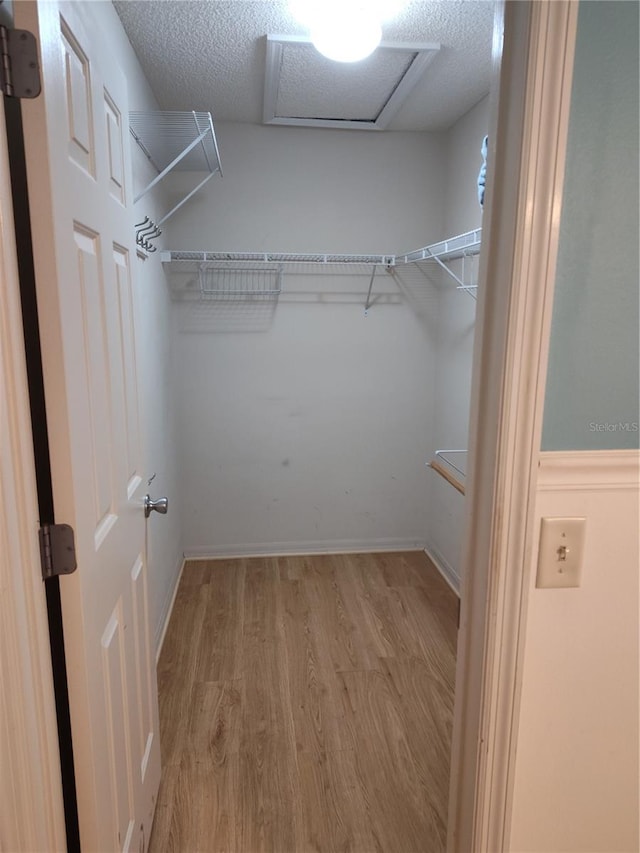 spacious closet featuring light hardwood / wood-style flooring