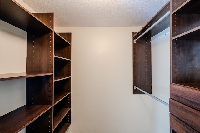 601 W Old Highway 441 Unit 11B, Mount Dora, FL 32757 - view of walk in closet
