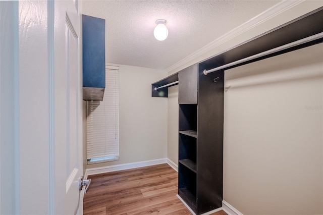 601 W Old Highway 441 Unit 11B, Mount Dora, FL 32757 - spacious closet with light wood-style floors