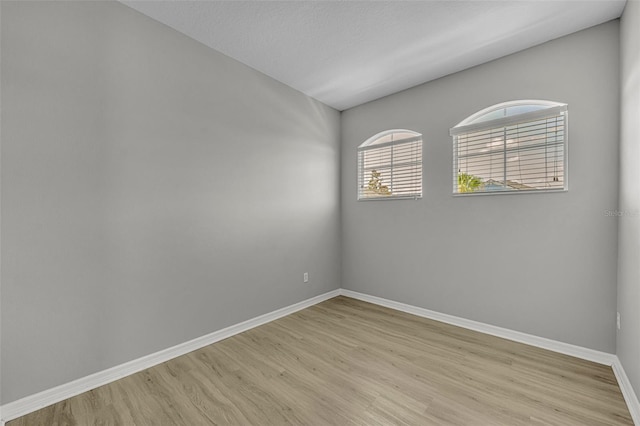 empty room featuring light wood-type flooring