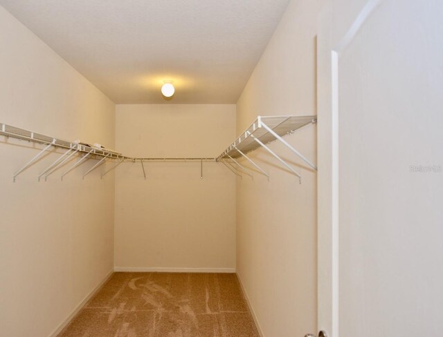 walk in closet featuring carpet flooring