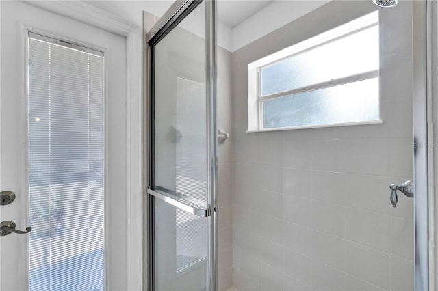 bathroom featuring a shower with shower door