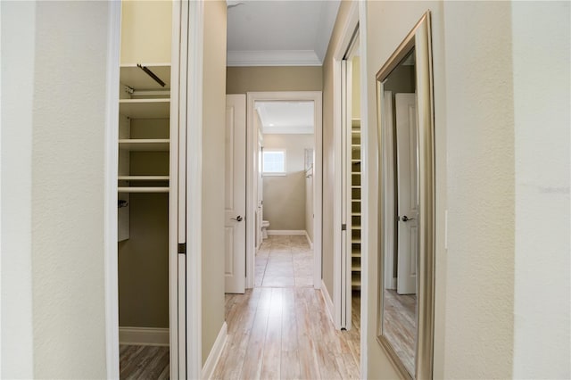 corridor featuring light hardwood / wood-style flooring and ornamental molding