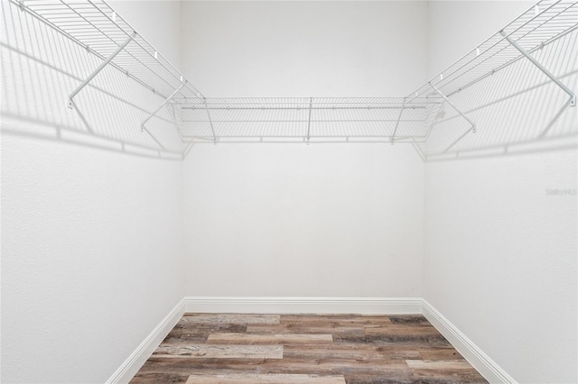 spacious closet with wood-type flooring