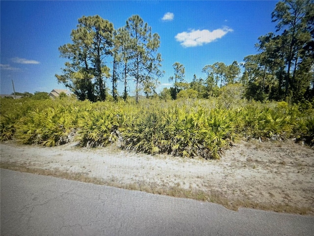 1218 Wagner Ave, Lehigh Acres FL, 33972 land for sale