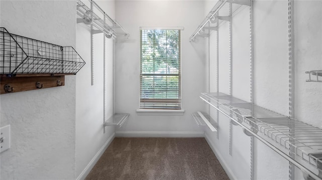 spacious closet featuring dark carpet