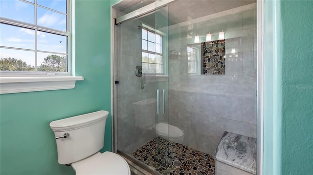 bathroom with toilet, a shower with shower door, and a wealth of natural light