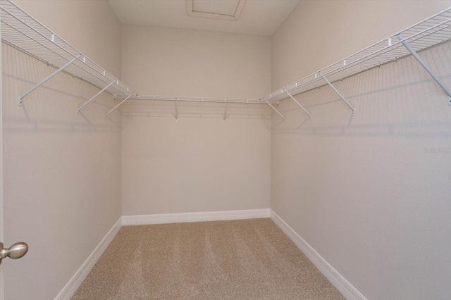 walk in closet with carpet