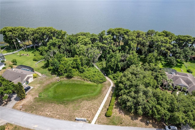 bird's eye view with a water view